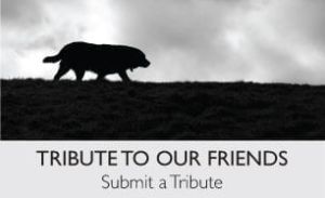 Link to Tribute to our friends Blog