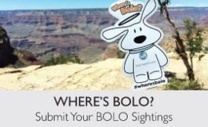 Link to Where's Bolo Blog