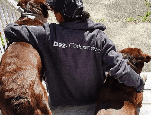 Are You Dog Codependent?